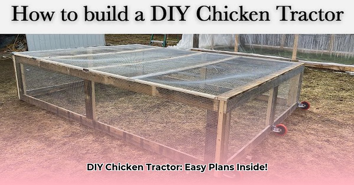 homemade-chicken-tractor